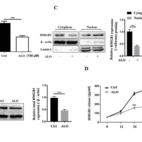 ALO Inhibits The Expression And Release Of HMGB1 From A375 Cells A