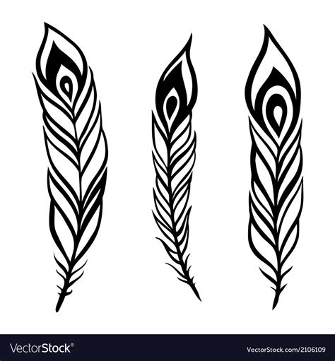 Peacock Feather Set Royalty Free Vector Image Vectorstock