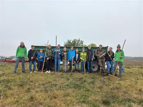 Arbeitseinsatz Unserer Junior Ranger Nationalpark Donau Auen