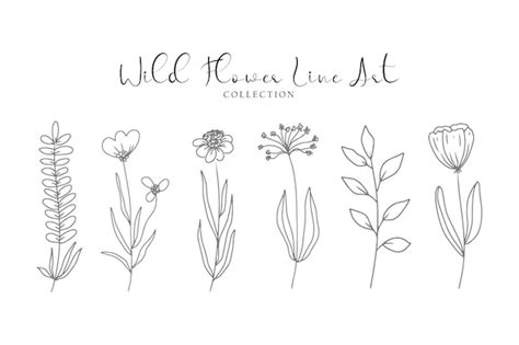 Premium Vector | A set of aesthetic cute flower and leaf line art