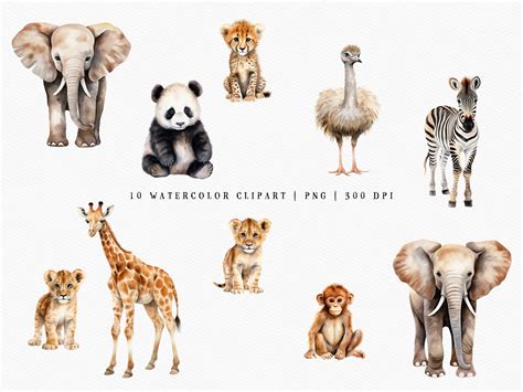 Safari Animals Watercolor Nursery Collection - Design Cuts