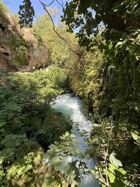 Cachoeira Rio Árvore Foto gratuita no Pixabay Pixabay