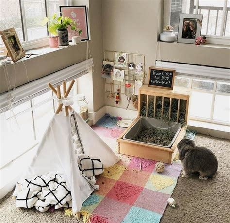 Cute Bunny Play Areas And Set Ups Simple But Sweet Bunny Room