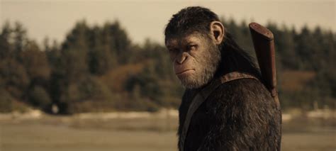 'War For The Planet Of The Apes' Will End Caesar's Story, But Not The ...