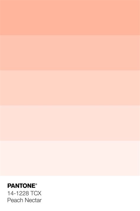 Pantone 14 1228 Tcx Peach Nectar In 2022 Pantone Colour Palettes