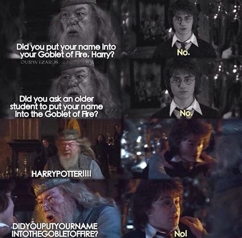 Dumbledore Asked Calmly All Image Credits Go To Creator Harrypotter