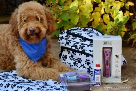 How to Trim a Goldendoodle Face: Tips from a Wahl® ELITE Groomer ...