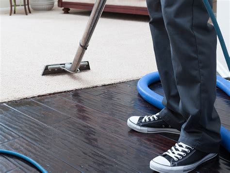 Pacific Steam Carpet Cleaning Portland Oregon