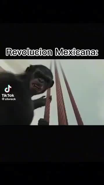 Viva México ಠ ಠ Meme subido por Nelly 2007mod Memedroid