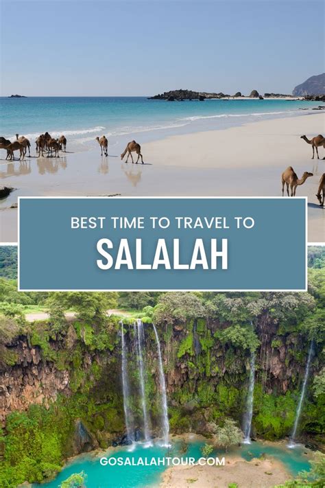 Discover The Beauty Of Salalah A Nature Lover S Paradise