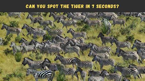 Optical Illusion Challenge We Dare You To Spot The Tiger Hidden Among