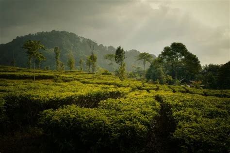 Tempat Wisata Di Kendal Dan Sekitarnya Yang Lagi Hits