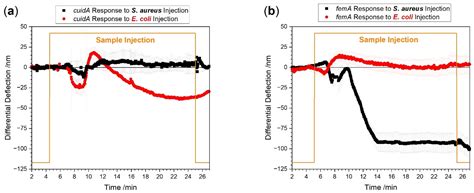 Rapid Bacteria Detection From Patients Blood Bypassing Classical