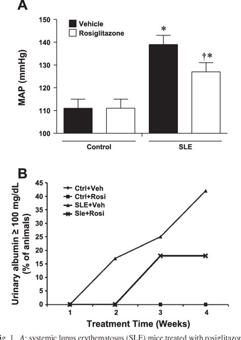 Figure 1 From Rosiglitazone Decreases Blood Pressure And Renal Injury