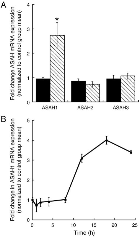 Figure 1 From The Camp Responsive Element Binding Protein Creb Regulates The Expression Of