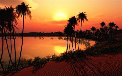 Desert Oasis Wallpapers Top Free Desert Oasis Backgrounds