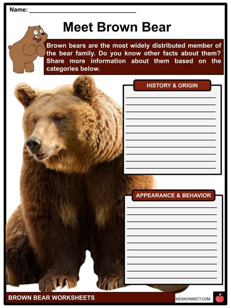 Brown Bear Facts Artofit
