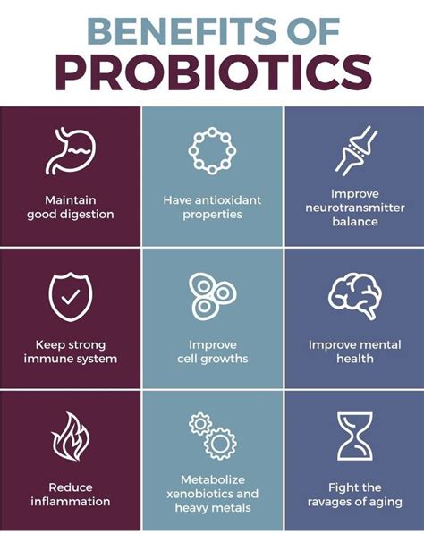 What Are The Health Benefits Of Probiotics Enjoy Natural Health