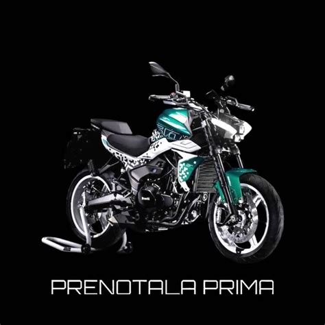 Benelli Tornado Naked T 125 2022 24 Nuova Fani Motors Firenze