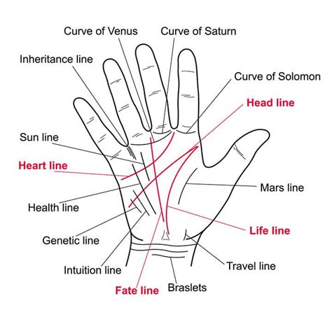 Do You Have An M On Your Palm Heres What It Means Palmistry Palm