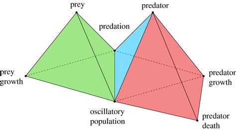 Model Comparison Via Simplicial Complexes And Persistent Homology