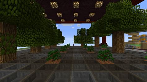 Hi Can Someone Tell Me Why The Trees In The Middle Don T Grow R Minecraft