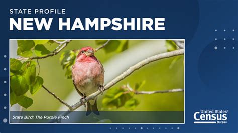 State Facts About New Hampshire Its 235th Anniversary And More