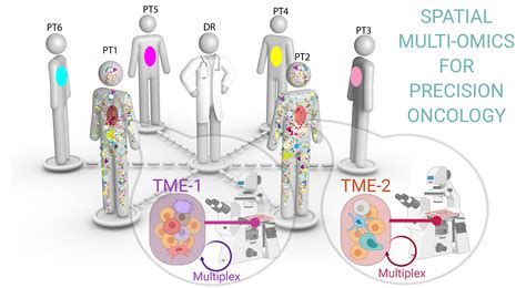 Spatial Multi Omics Analysis In Single Cells For Precision Oncology