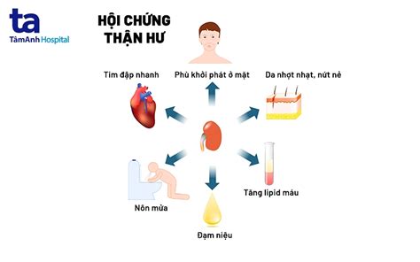 Dấu hiệu của bệnh thận hư Nhận biết và Phòng ngừa