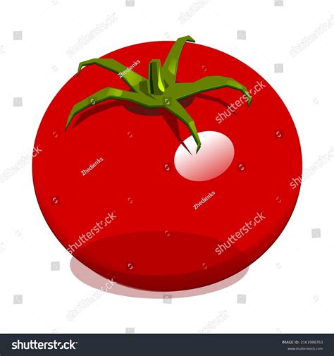 Tomato Isolated Single Simple Cartoon Illustration Stock Vector