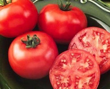 Tomate Super Marmande gaúcho maçã 1 000 Sementes MercadoLivre