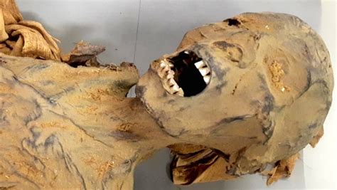 Decoding The Screaming Mummy An Ancient Egyptian Enigma Unveiled