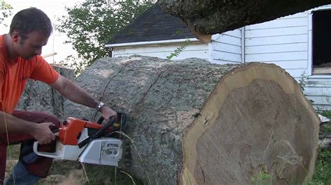 Stihl MS880 In Big Oak YouTube