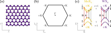 Properties Of Transition Metal Dichalcogenide Monolayers Mx 2 A Top Download Scientific