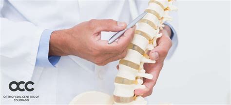 Treatment of Spine Fractures in Adults - Colorado Orthopedic News