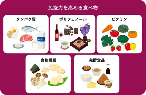 免疫力を上げる食べ物を30個以上紹介 効果的な食べ方も！専門家が解説 Puravida