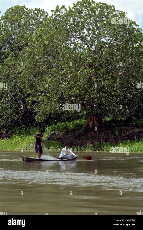 Amazon river peru border columbia hi-res stock photography and images ...