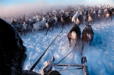 Ionel Istrati Si A Lansat Noul Videoclip Filmat In Tundra Siberiana