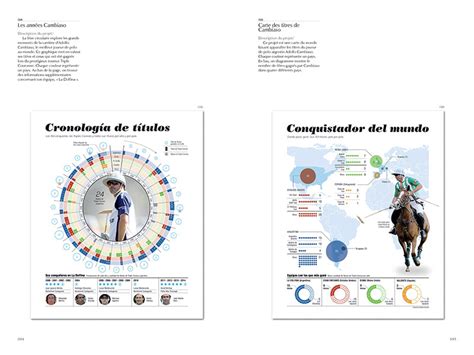 Livre La Datavisualisation Au Service De Linformation