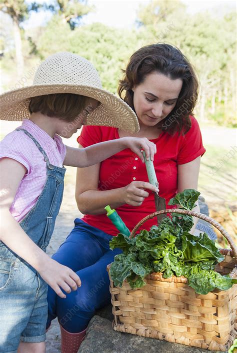 Mother And Daughter Picking Vegetables Stock Image F0065704 Science Photo Library