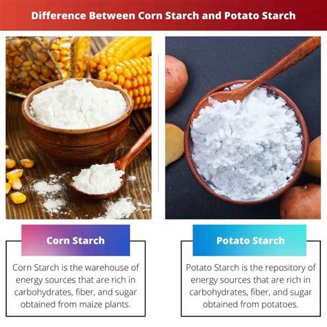 Corn Starch Vs Potato Starch Difference And Comparison