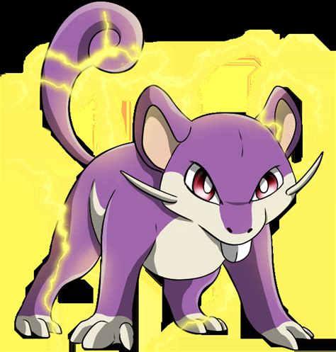 Rattata Pokemon Evolution Chart