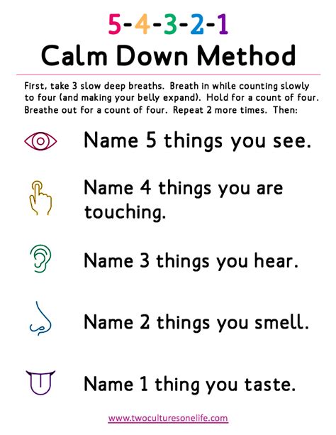 5-4-3-2-1 Calm Down Steps for Kids – Two Cultures One Life Shop