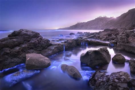 Bioluminescence Tide Pools