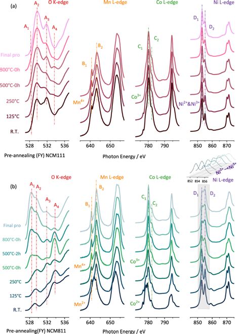 Nexafs Spectra Of O K Edge Mn L Edge Co L Edge And Ni L Edge For A