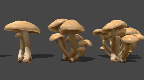 Mushroom1 Buy Royalty Free 3d Model By Zacxophone 71ca6d7