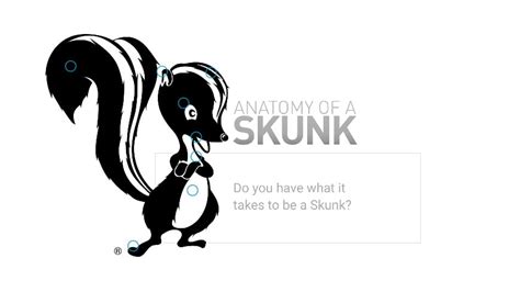 Anatomy of a Skunk - Final 10.11.19 Skunk Works