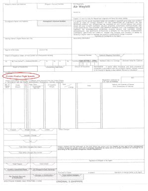 Fillable Online AIR CARGO MANIFEST OF U S Customs And Border