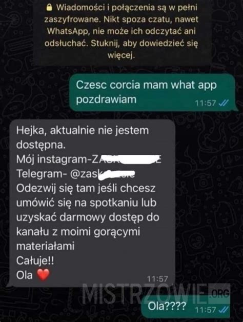 Mistrzowie Internetu Na Pieska To Nie Jest Tak Jak My Lisz I Ju