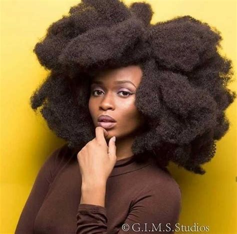 Pin By Portraits By Tracylynne On Brown Skin Afro Hairstyles